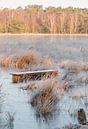 Morning by Eelke Cooiman thumbnail