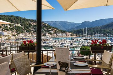 Idyllisch uitzicht op de jachthaven in Port de Soller op Mallorca van Alex Winter