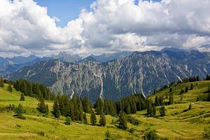 Panoramablick von der Alpe Schlappold auf den Allgäuer Hauptkamm