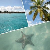 Isla Saona Caraïbisch gebied fotocollage