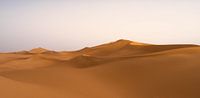 Sahara °1