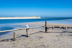 Ostseeküste auf dem Fischland-Darß