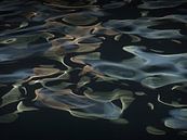 H2O # 2 - Water abstract von Lena Weisbek Miniaturansicht