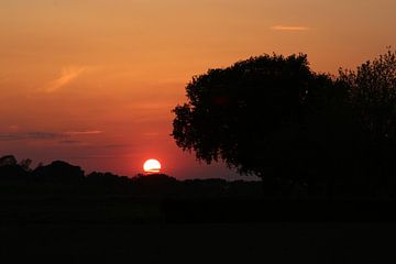 Zonsondergang van Frank Janssen