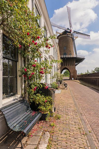 Mühle Rijn und Lek in Wijk bij Duurstede von Charlene van Koesveld