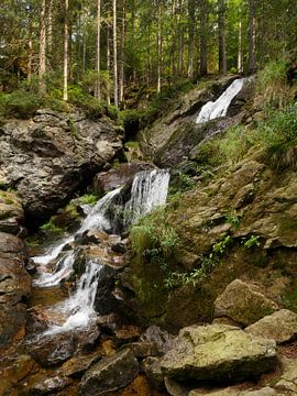 Riesloch Watervallen bij Bodenmais, Beieren 9 van Jörg Hausmann