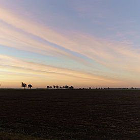 Zonsopkomst Lofar (grootste radio teleskoop) von Hans Oudshoorn