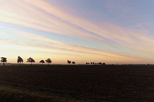 Zonsopkomst Lofar (grootste radio teleskoop)