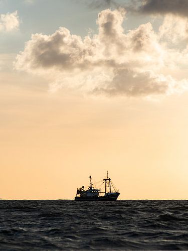 De WR29 Aan De Horizon