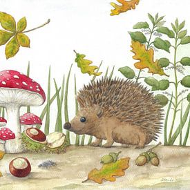 Egels in het herfstbos van Sandra Steinke