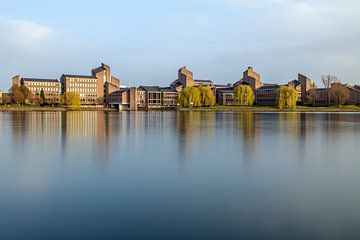 Gouvernement Limburg