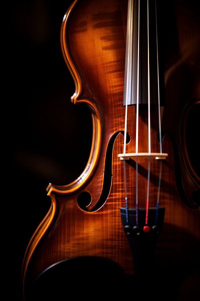 Esthetiek van muziek van fernlichtsicht