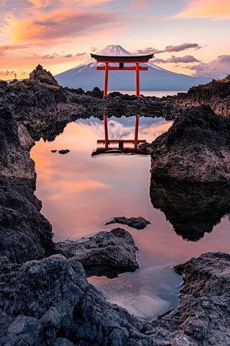 Torii en Fuji in het avondlicht