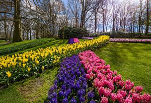 Keukenhof Park an einem schönen Frühlingstag