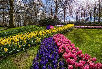 Keukenhof park on a beautiful spring day by Chihong