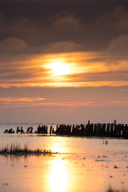 Sonnenuntergang auf den dänischen Watteninseln