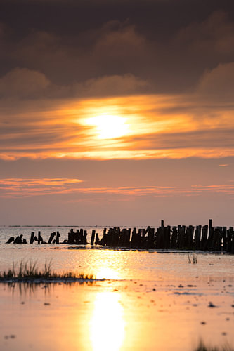 Sonnenuntergang auf den dänischen Watteninseln