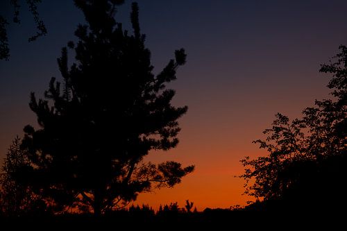 Aujourd'hui est un cadeau II