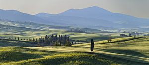 Landschaft bei Sonnenaufgang um Pienza