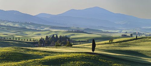 Landschap bij zonsopgang rond Pienza