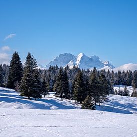 Snow-covered mogul meadows near Mittenwald, embedded in the wintry mountain world of the Alps. by Miriam Schwarzfischer Fotografie