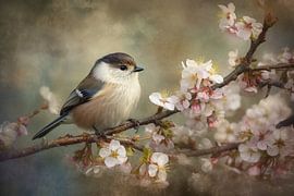 Vogel auf einem blühenden Zweig – zartes Frühlingsbild von Joriali Fine Art
