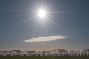 Irrigation d'un verger de fruits sur Moetwil en van Dijk - Fotografie