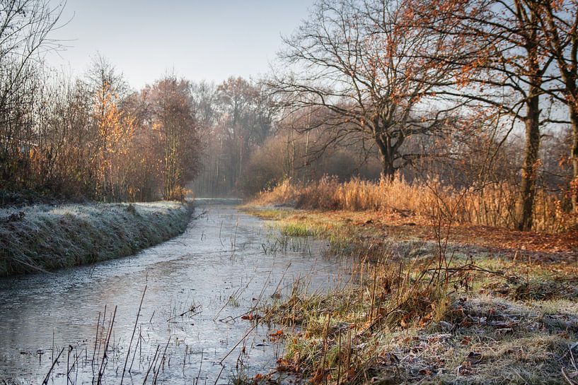 Bevroren Klotputten van Jasper Scheffers