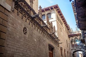 Barcelona - Pont del Bisbe (Bishop’s Bridge)