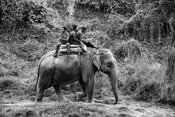 Éléphant noir et blanc avec accompagnateurs sur Annemiek Lenting