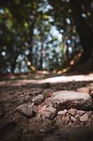 Steinhaufen auf einem Waldweg