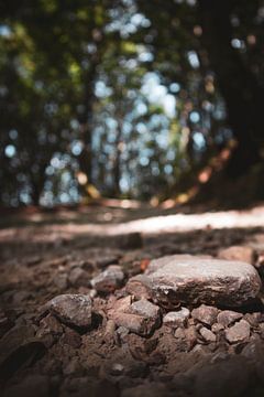 Stapeltje stenen op een bospad van Roel Timmermans
