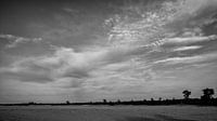 de schier oneindige vlakte van zandkorrels met de bomenrij aan de horizon van Hans de Waay thumbnail