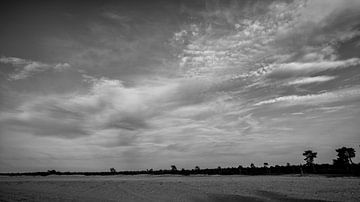 die scheinbar endlose Ebene aus Sandkörnern mit der Baumreihe am Horizont von Hans de Waay