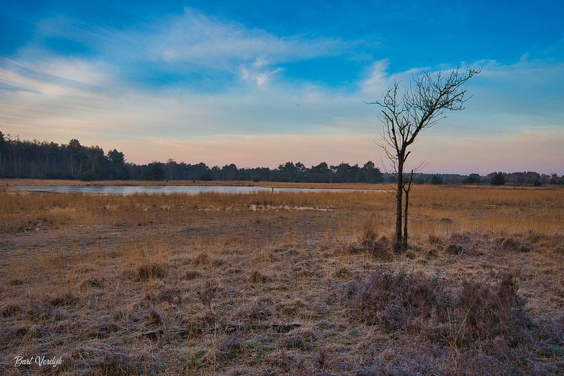 Lonely three by Bart Verdijk
