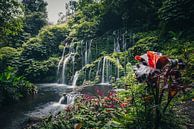 Betoverende waterval in de jungle van Bali, Indonesië van Troy Wegman thumbnail
