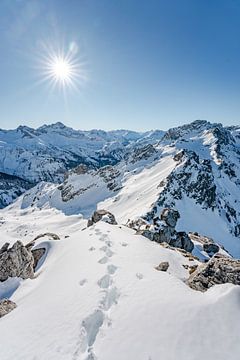 Winteruitzicht op de Allgäuer Alpen in het Rappenalpendal van Leo Schindzielorz
