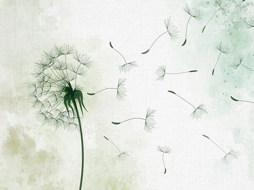 La boule de poils de pissenlit soufflée par le vent