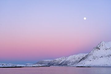 Lofoten van Jeannet Hooftman