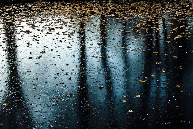 Reflet arbres rêveurs par Dieter Walther