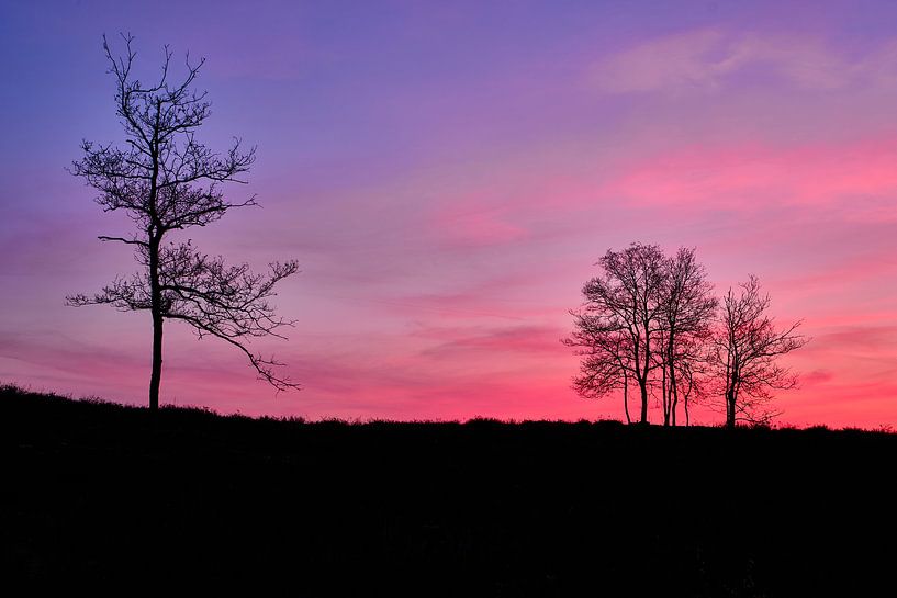 Purple sky by Angelique Spanjaard-Oomen