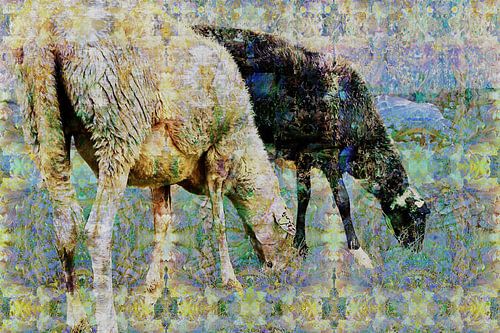 Digital collage with Sheep by Ton Kuijpers