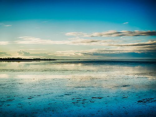 Wijdse waddenland