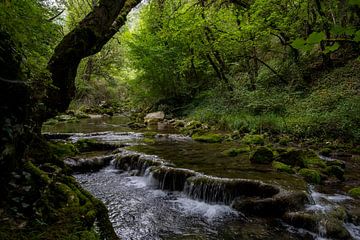 Schnell fließender Bach in Wäldern in Nordspanien von Rick Van der Poorten