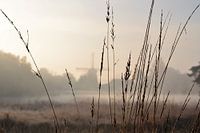 Zicht op molen