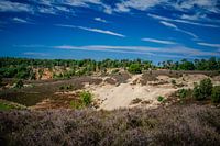 Veluwe - Unique Dutch landscape with sandy plains
