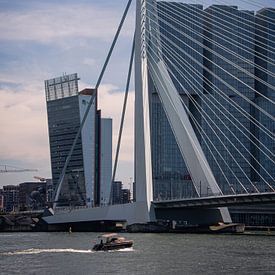 Erasmusbrug Rotterdam Nederlands Europa van Max Stefens