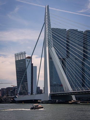 Erasmusbrücke Rotterdam Niederlande Europa