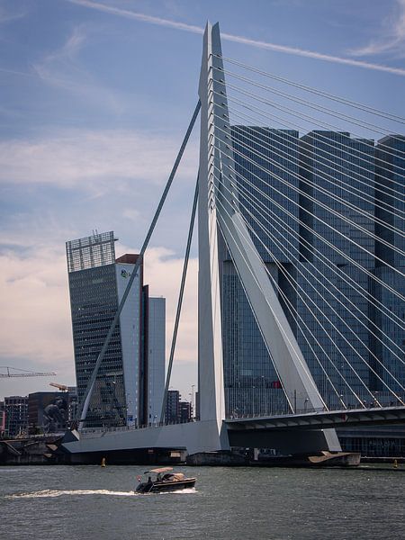 Erasmusbrug Rotterdam Nederlands Europa van Max Stefens