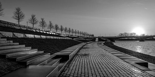 Zonsopkomst Lentse Warande zwart-wit